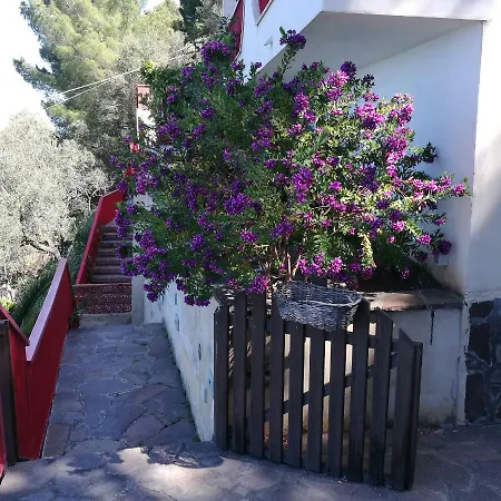 Laginestracilento